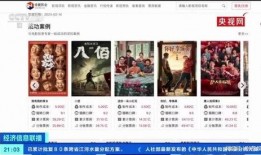 爆料王骗局揭秘视频在线观看,在线观看视频揭露真相全貌